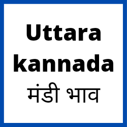 Uttara Kannada-mandi-bhav